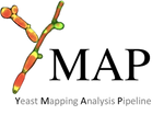YMAP logo