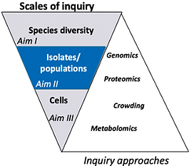 decorative, part of grant request?, diagram stating 3 aims of project and approaches of study