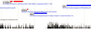 example of output of transposon data