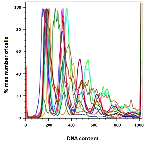 decorative, graph showing percent max number cells vs DNA content